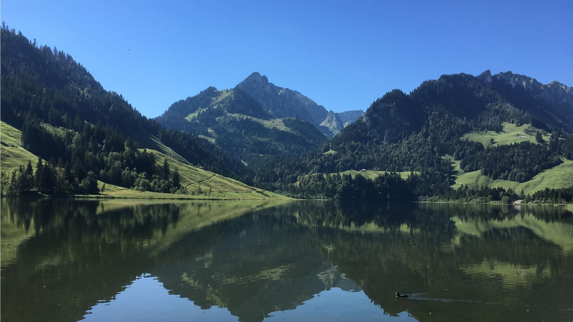 schwarzsee.jpg