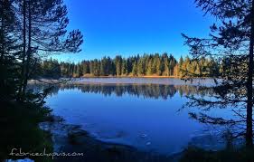 parc regional doubs confine francia svizzera zona saignelégier.jpg