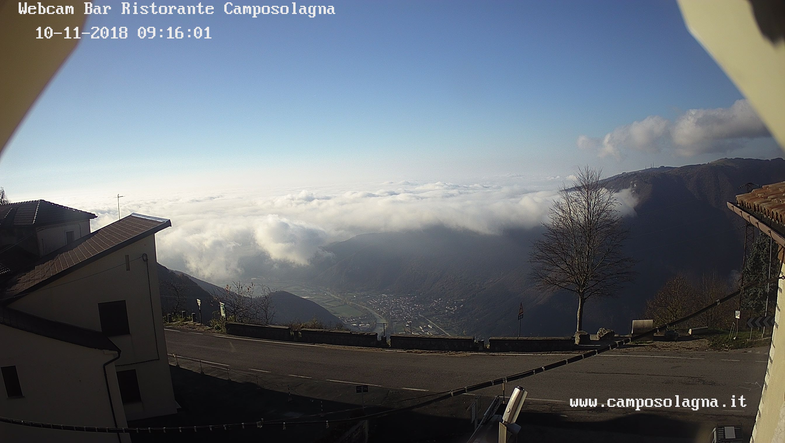 9492BE8C-1CE2-4D6C-9854-F92F972BA0CD.jpeg