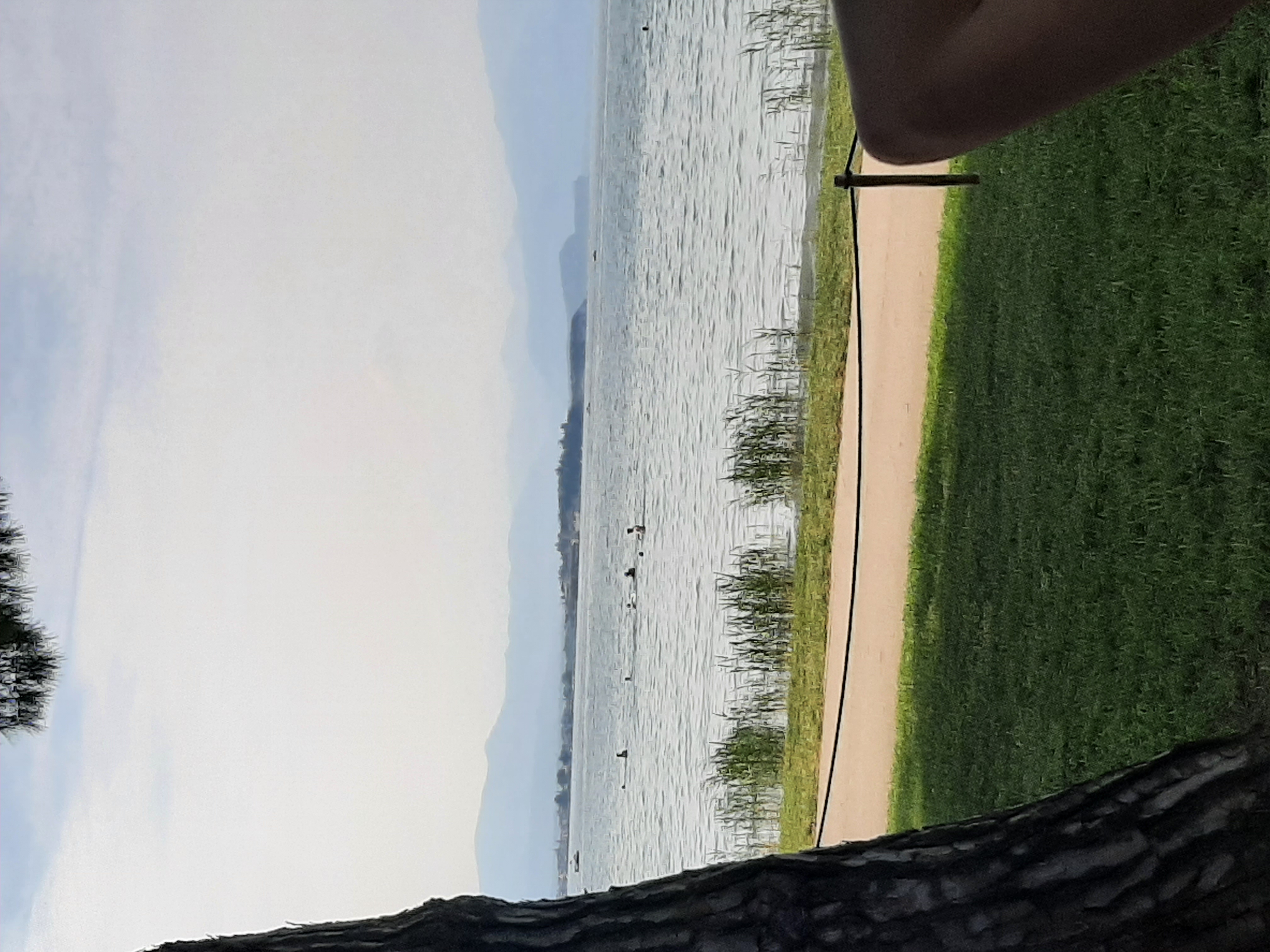 20230618_171631.jpg