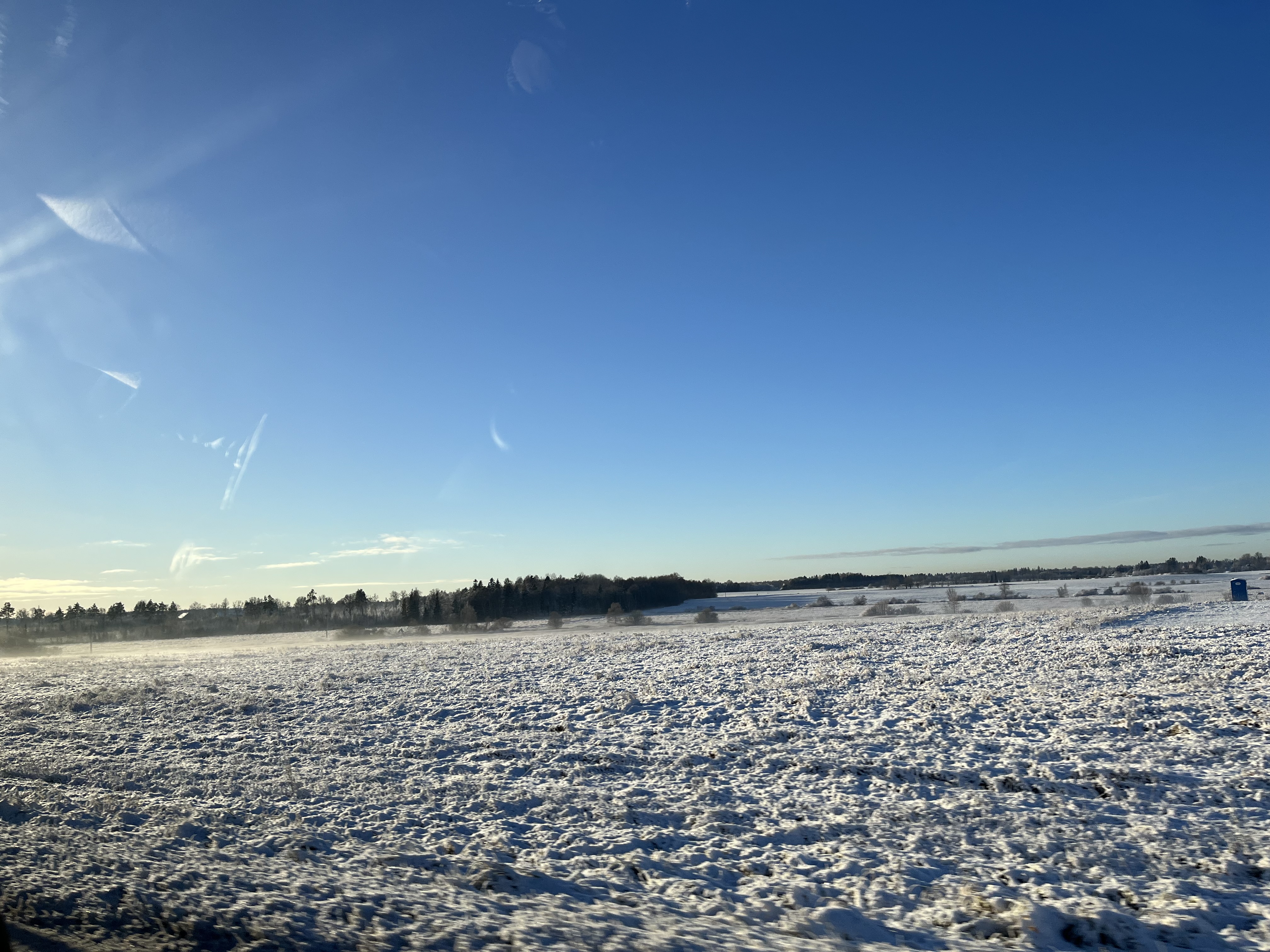 IMG_7172.jpeg
