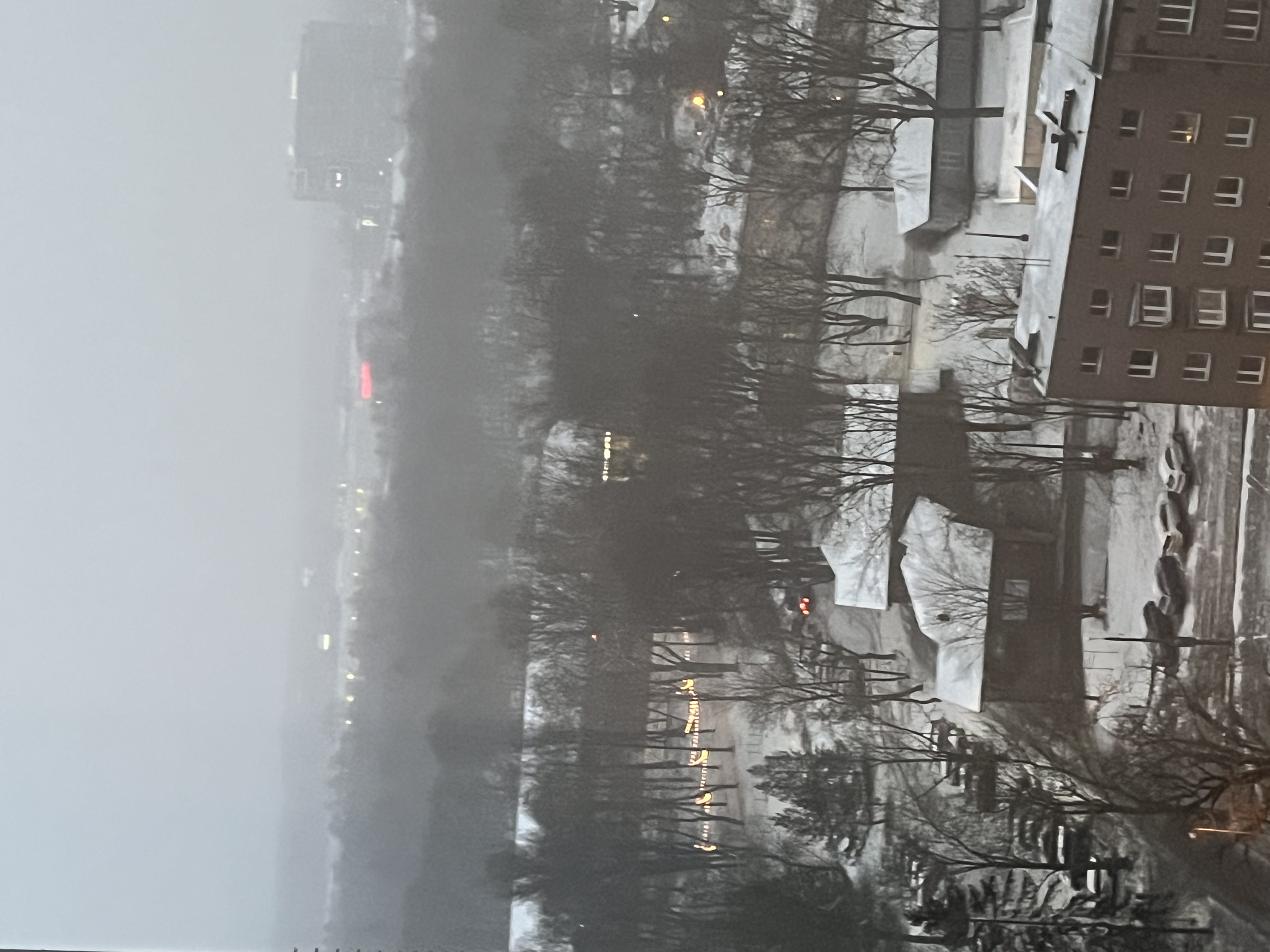 IMG_7236.jpeg