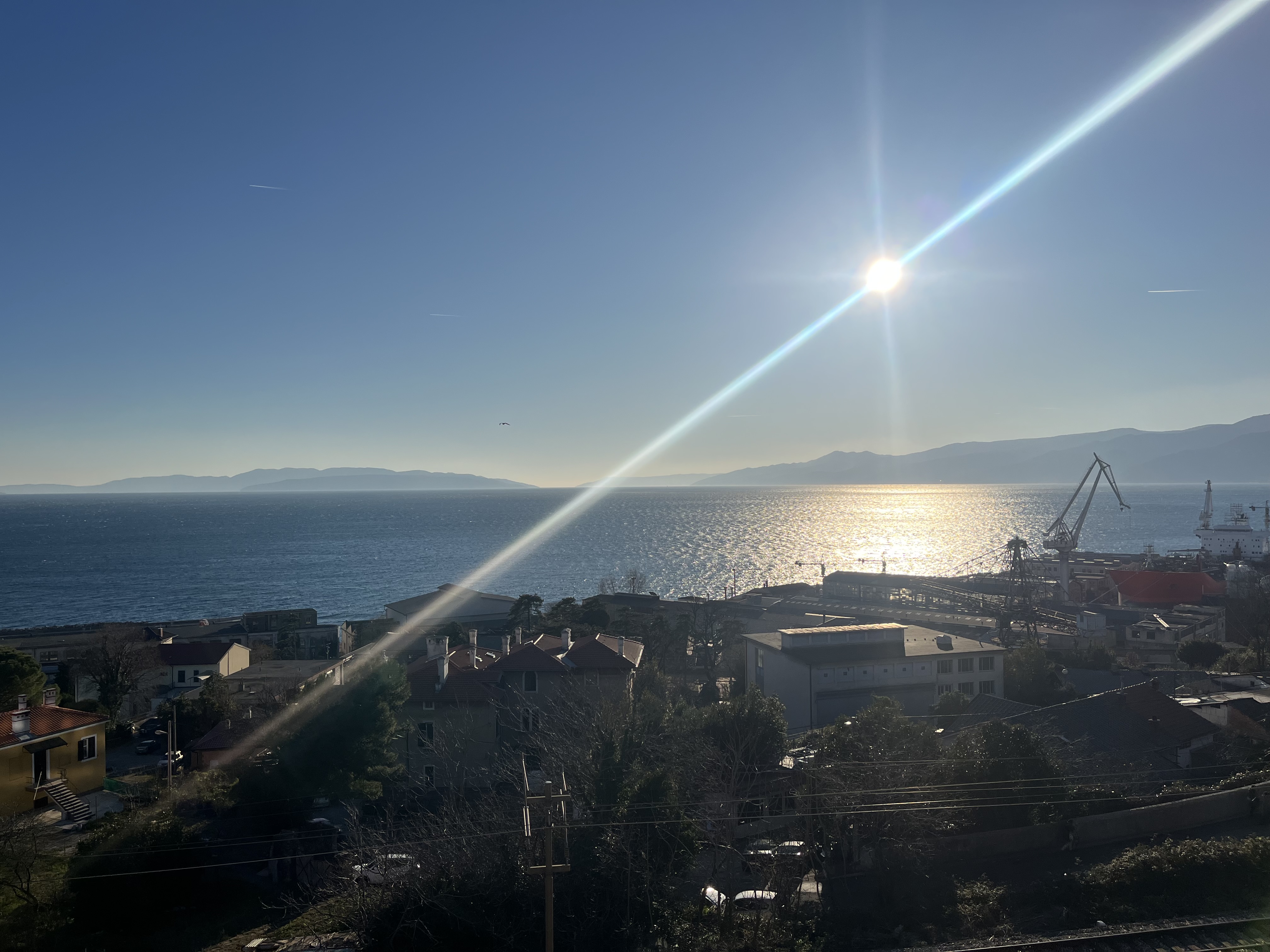 IMG_8281.jpeg