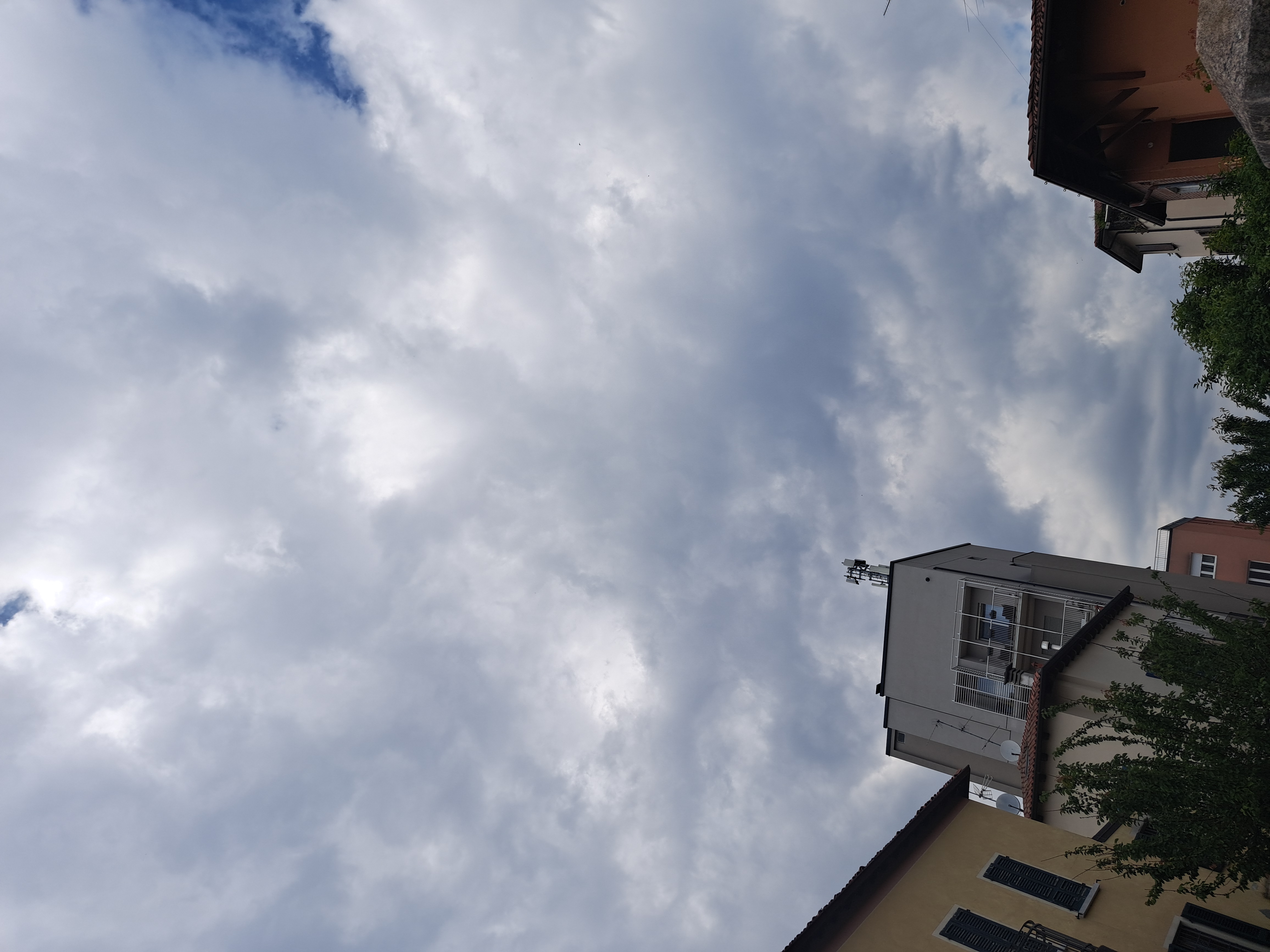 20250516_144637.jpg