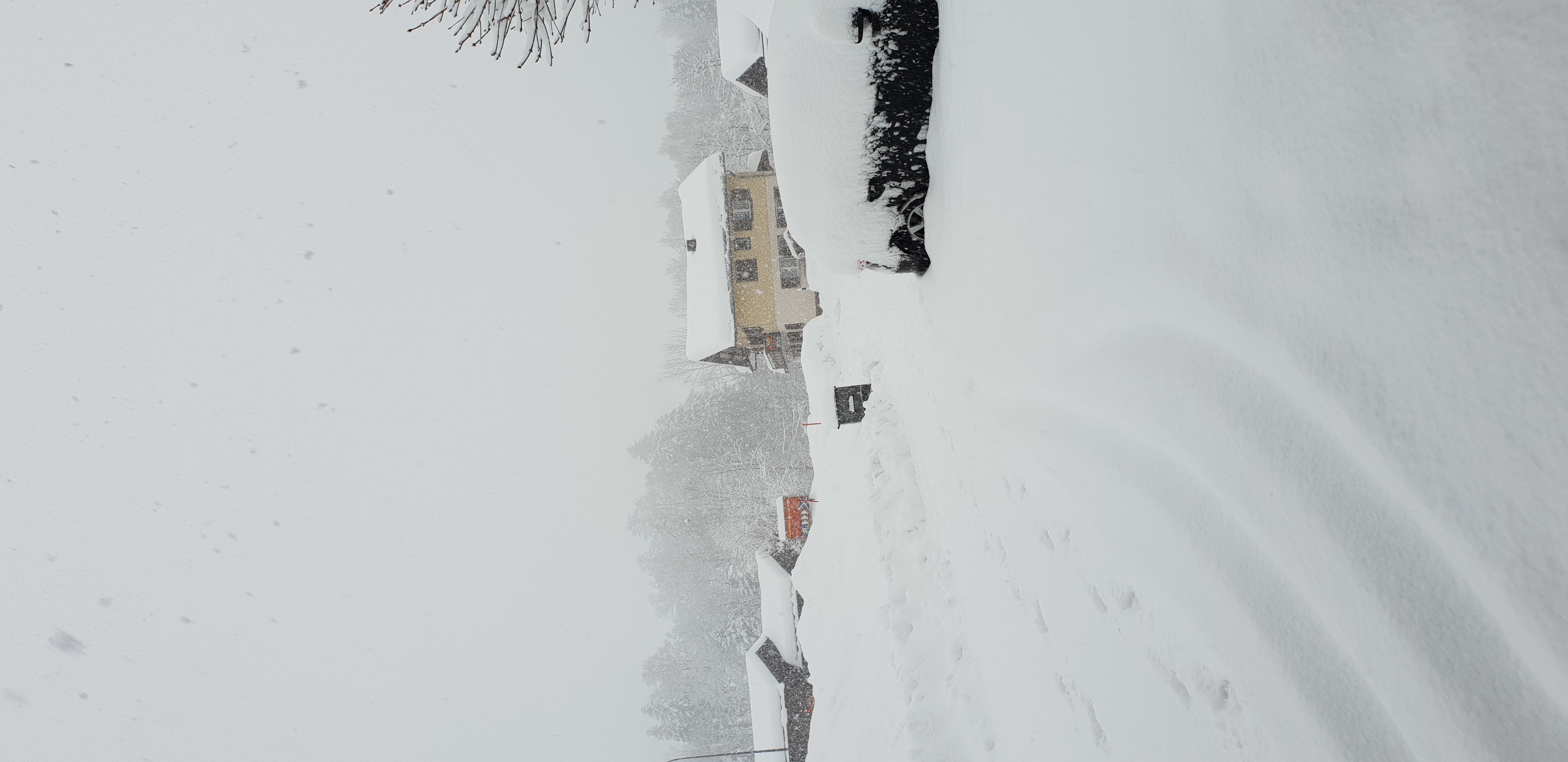 20190203_085037.jpg